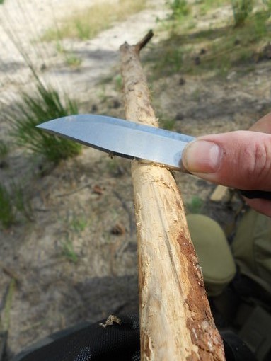 Bast Schrapen Bast Schrapen