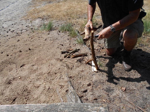 Hout splijten Hout splijten