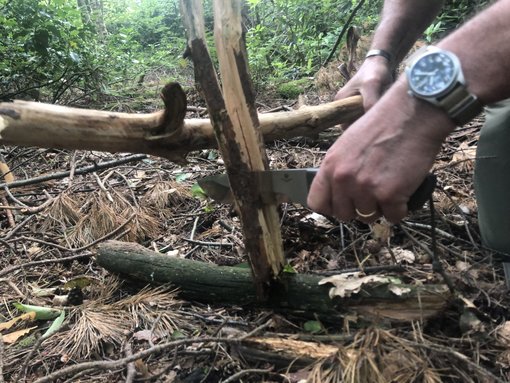 Batonneren Batonneren