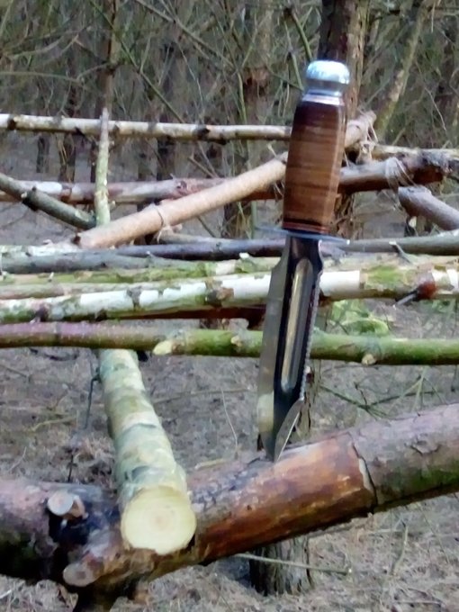 functioneel survival mes functioneel survival mes