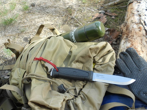 Tasmanian Tiger en Mora Garberg Tasmanian Tiger en Mora Garberg