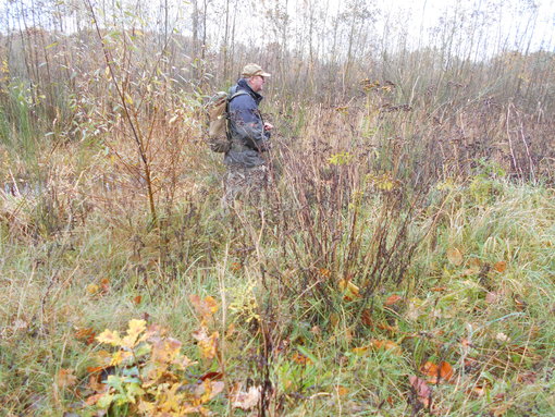 In het moerasgebied In het moerasgebied