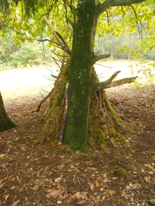 Achterkant Achterkant