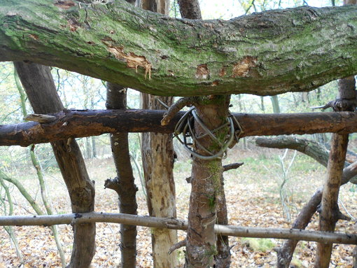 Vastbinden van takken 2 Vastbinden van takken 2