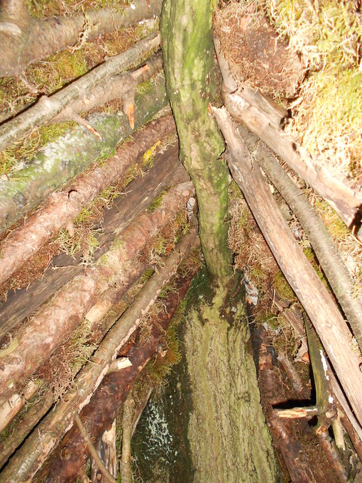 Nok tak van binnenuit Nok tak van binnenuit