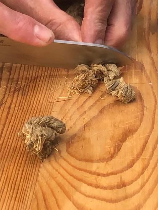 Touw snijden Touw snijden